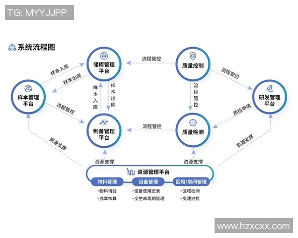 南京篮球队防守革新之路：从传统到现代的全新战术解析与实践探索