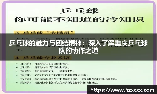 乒乓球的魅力与团结精神：深入了解重庆乒乓球队的协作之道